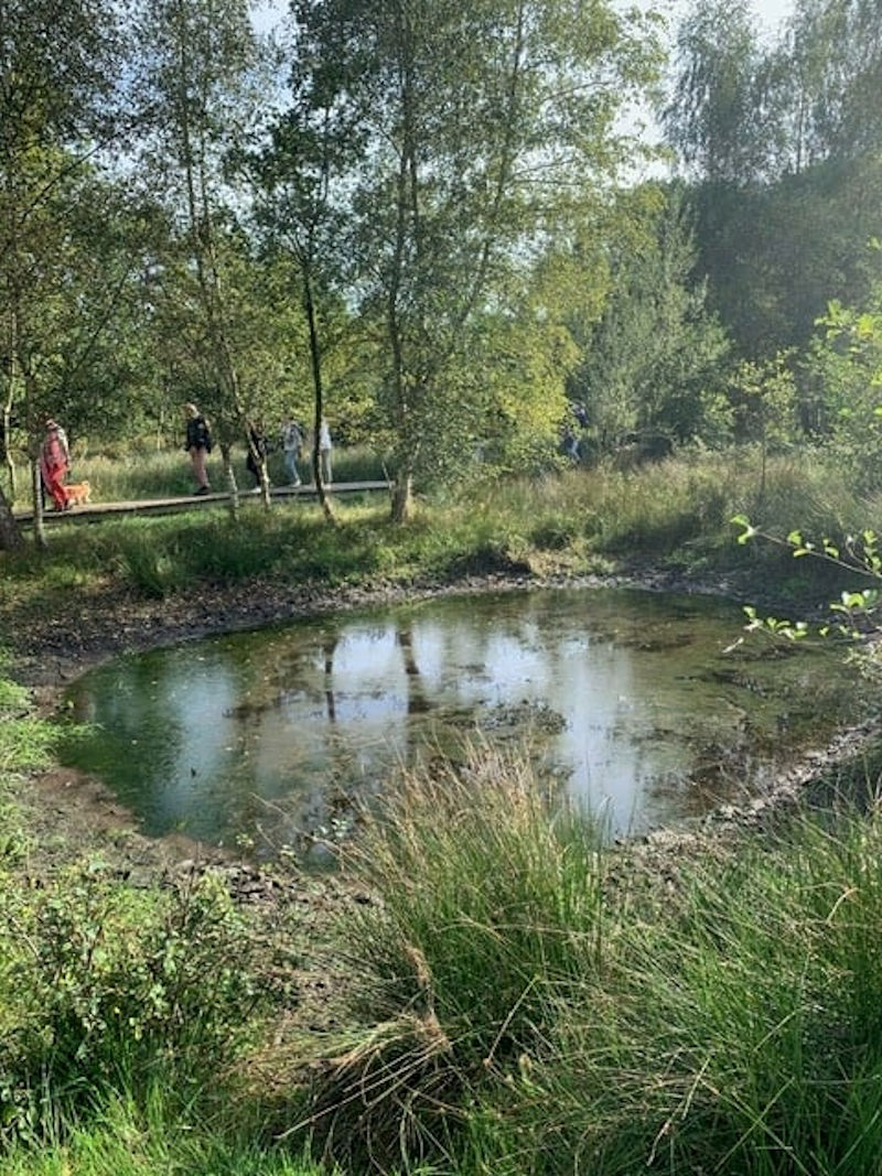 Wandeling Kiewit-Boktrijk 21 september 2021